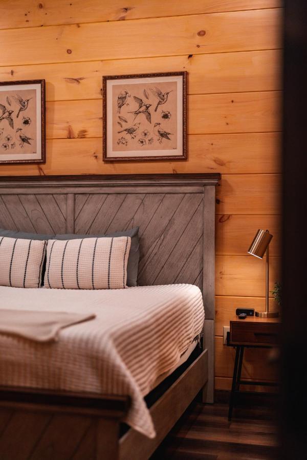 New Cozy Mountain Cabin Hot Tub Near Downtown 개틀린버그 외부 사진